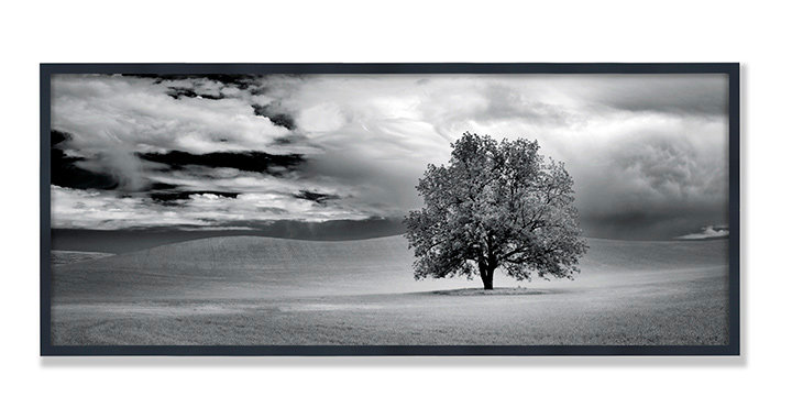 Lone Tree And Clouds In Wheat Field Print by PhotoDF