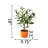 18'' Faux Olive Tree Tree in Terracotta Pot