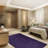 Modern Plush Pet and Kids Friendly Solid Color Area Rugs, Stain & Fade Resistance, Bedroom, Playroom and Kidsroom, Event, Wedding,  Perfect for Living Room, Dining Room, Purple Mena Rug-700379366