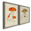 Toile encadrée de qualité supérieure Mushroom Variétés-816178478-816178473