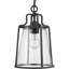 Lanterne suspendue d'extérieur 1 lumière H 13,25 po Calvo