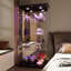 Display Cabinet-195428559