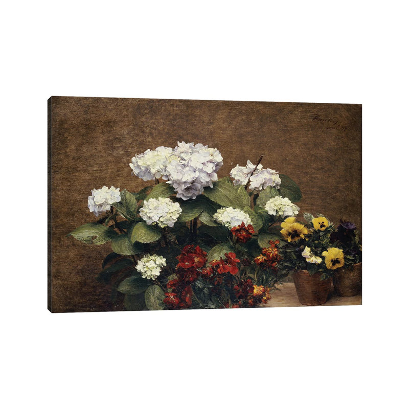 Hortensias And Stocks With Two Pots Of Pansies by Ignace Henri Jean Theodore Fantin-Latour - Wrapped Canvas Painting