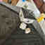 Customer photo 4 of 5