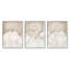 Ensemble de 3 reproductions d'art sur toile Stupell Industries Vintage Beige Clouds par Ros Ruseva-91309478