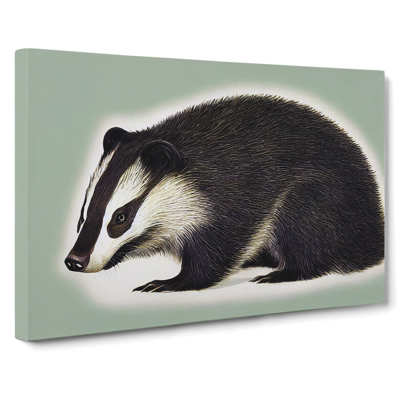 Modern Badger Art - Wrapped Canvas, 35cm H x 50cm W x 3cm D