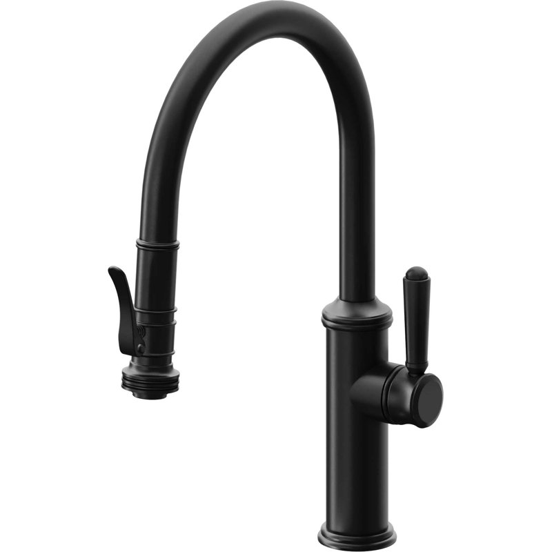 Davoli Kitchen Faucet, Matte Black