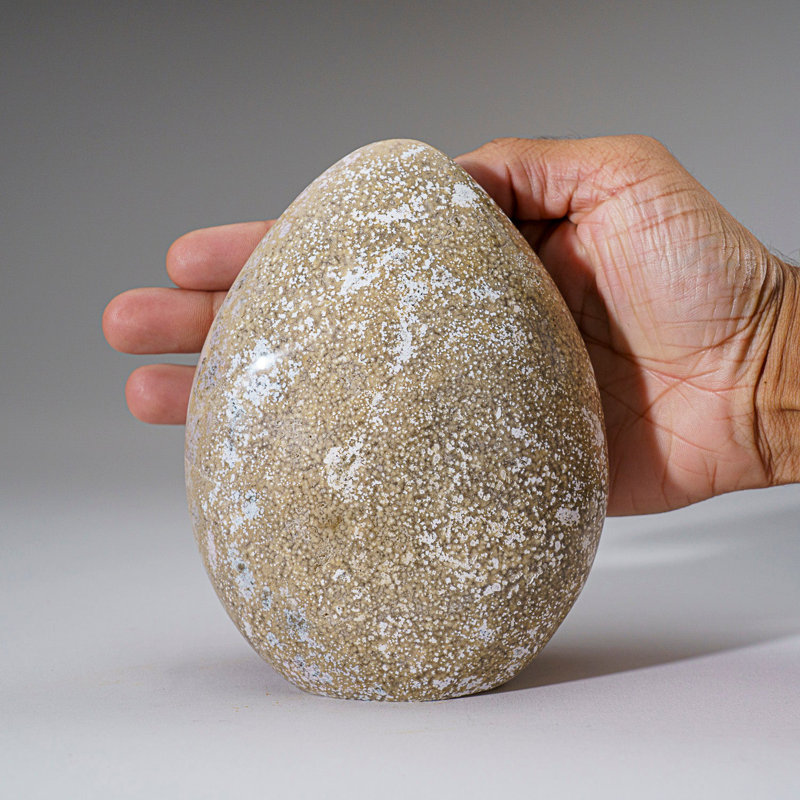 Polished Ocean Jasper Freeform From Madagascar (2.6 Lbs)