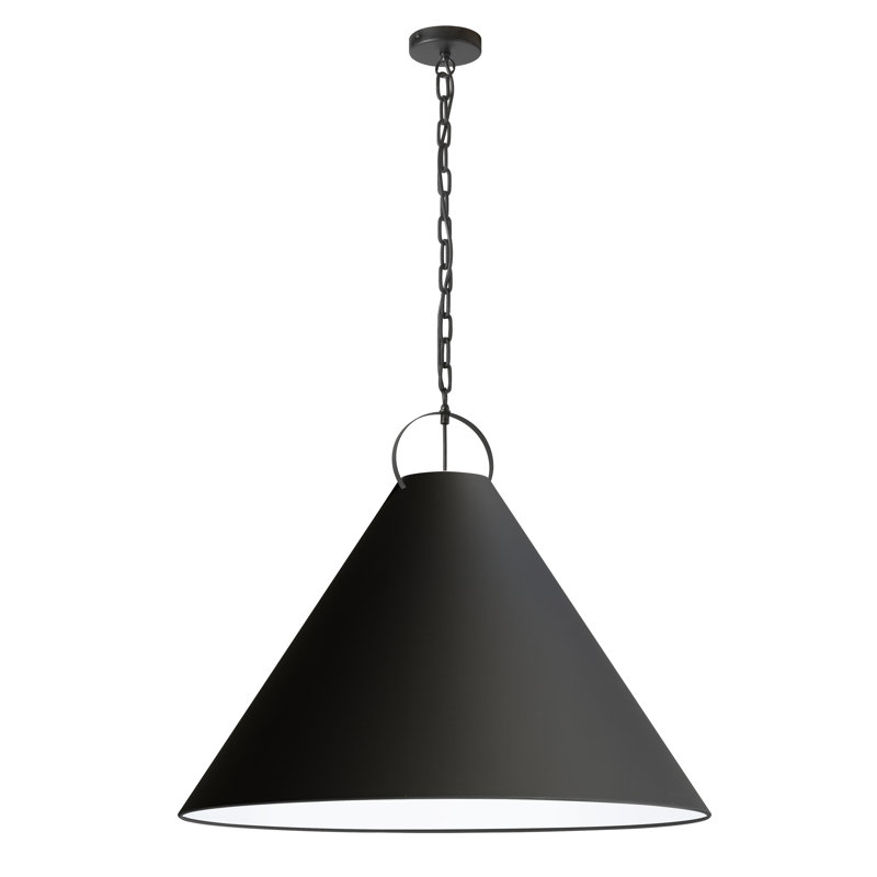 Luminaire suspendu incandescent 1 lumière Princeton, Noir mat, Noir, H 25,5 po x l 32 po x P 32 po
