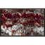 «A Contrite Spirit, Psalm 34:18» par Mark Lawrence, impression-1223005777-1223005772