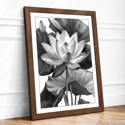 Lotus in Bloom Botanical - Framed Print