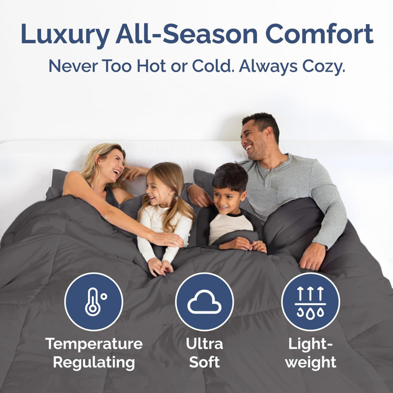 Goose Down Alternative Comforter – All Season, Warm & Lightweight, Ultra Soft Fluffy Duvet Insert, Queen, Dark Gray