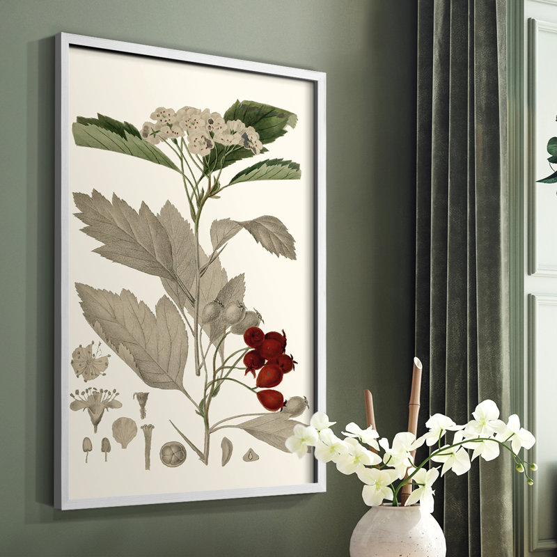 «Leaves & Berries I», reproduction encadrée - bois massif, Blanc, H 10 po x l 8 po