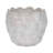 Stoneware Ceramic Planter with Embossed Scale Texture and Scalloped Rim Decorative Modern Pot-602994538