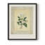 Impression florale rétro sur papier-956840453-956840458