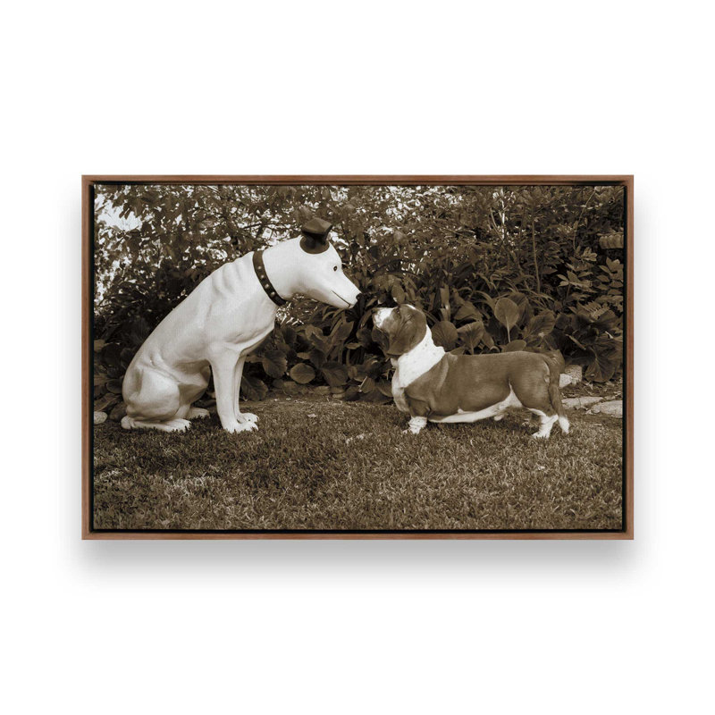 «Want to Play» par Jim Dratfield, reproduction d'art sur toile, Brun, Cadre flottant, H 24 po x l 36 po