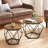 Apison 2 Piece Coffee Table Set-1893290030