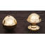 Contoured Dome 1 1/16" Knob CK Series-12829841
