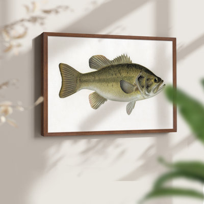 Truite femelle - reproduction encadrée - Restickable