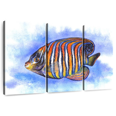 Aquarelle, poisson-ange royal