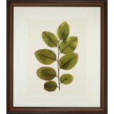 A Little Piece Of Nature VI Print