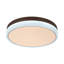 Deissy LED Flush Mount