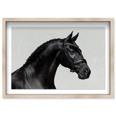 Midnight Majesty I Framed Graphic Art