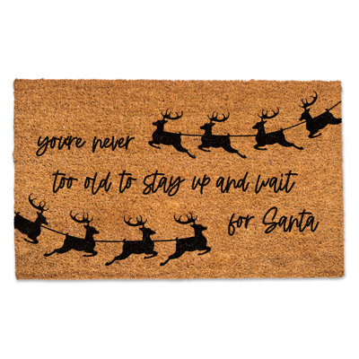 Dolf Non-Slip Outdoor Doormat