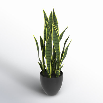Artificial Sansevieria Snake Plant in Pot