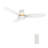 Smart Flush Mount Ceiling Fan with Light, Remote Control, DC Motor-70836688-93934863