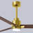 Alessandra Ceiling Fan-1879622969-1930603222-1879622961