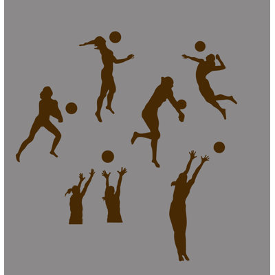 Décalcomanie murale joueurs volleyball Anadolu