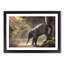 Mother Elephant Encouraging Baby - Picture Frame Painting Print-56860635-56860636