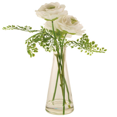30cm Plant