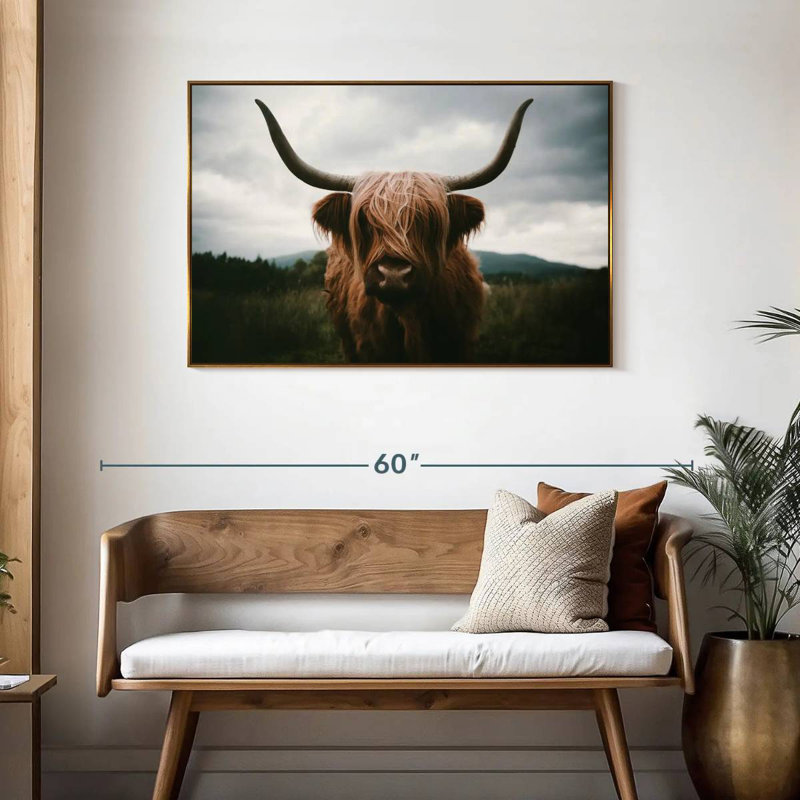 Vache Highland Open Field, Cadre flottant doré, 43 po x 29 po