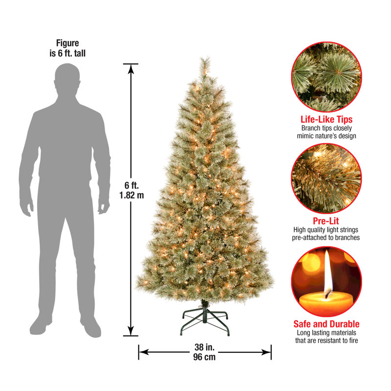 First Traditions'' 6 Ft. Arcadia Cashmere Pine Slim Tree With Clear Lights, 5'10"
