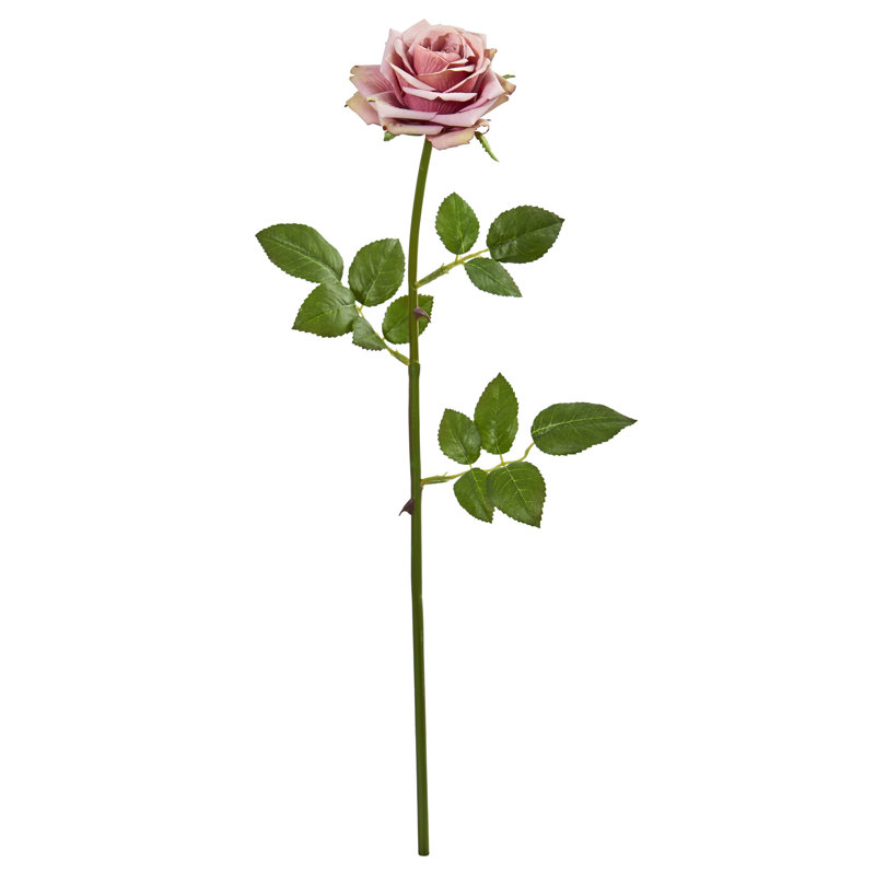 Arrosage artificiel roses, Mauve