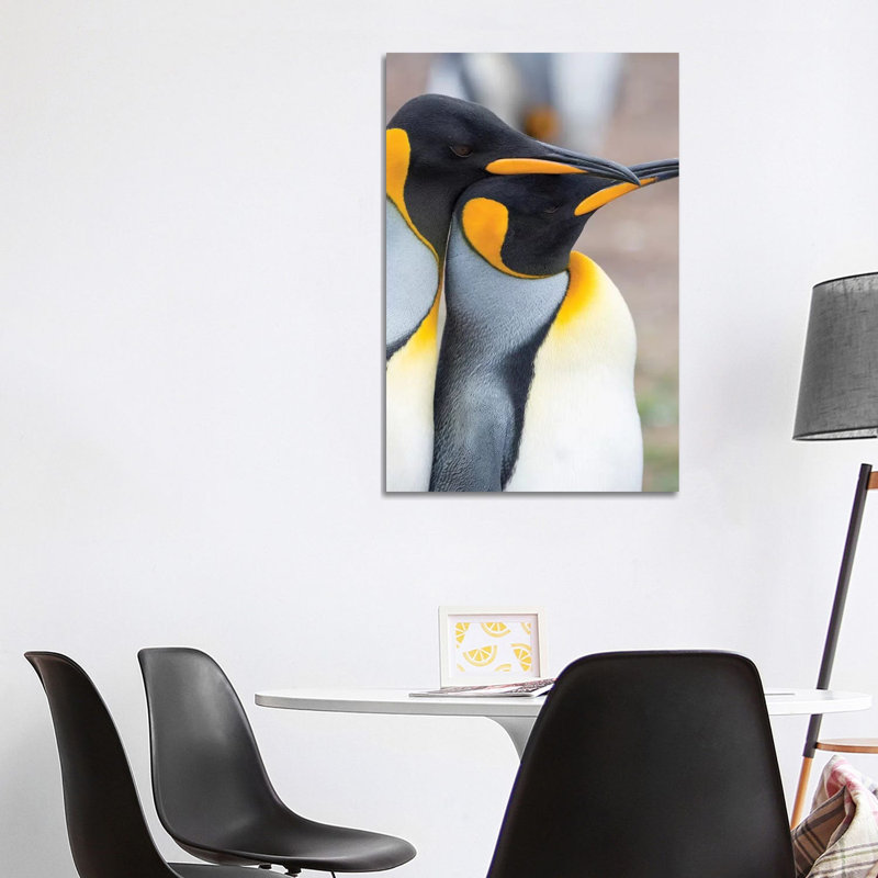 Courtship Display. King Penguin On Falkland Islands. by Martin Zwick - Wrapped Canvas Gallery-Wrapped Canvas Giclée