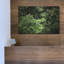 «Rainforest Canopy» par Nicklas Gustafsson-101602671