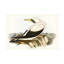 Bologle «Majestic Waterbird VI» sur un cadre-98249034