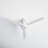 Merida 52'' Ceiling Fan with LED Lights