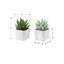 Artificial Plant