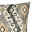 Evolution Indoor/Outdoor Pillow Cover & Insert by Elaine Smith-153898900-153898899