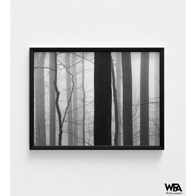 Forest Code By Nicholas Bell, Staircase Wall Art, Over Fire Place Decor, Basement Remodel Idea Print, Black And White Forest Art