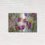 «Iris Garden I» par Sharon Pitts, Me-645197240