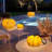 4.7'' Plug-in Outdoor Lantern