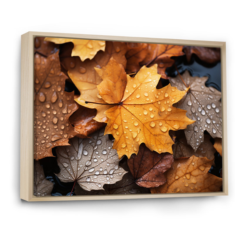 «Yellow and Orange Autumn Mapple Leaves 4», art mural érable, Cadre flottant brun, H 30 po x l 40 po x P 1,5 po