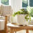 Set of 2 Ceramic Planters Indoor and Outdoor-405657624-405657623