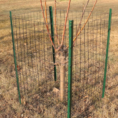 Black PVC Coated Welded Wire Fence 24 Inch x 50 Foot, 2 Inch x 3 Inch