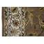 Dharma Oriental Area Rug in Brown